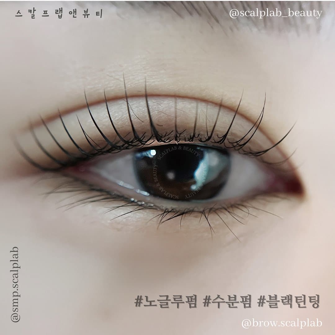 속눈썹펌 · 노글루펌 · 수분펌 · 블랙틴팅